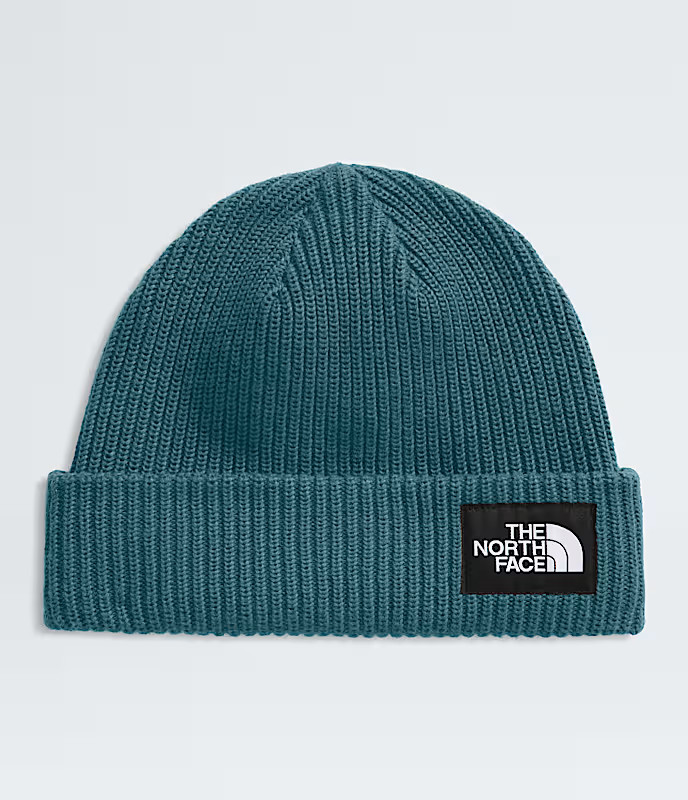 Salty Lined Beanie | The North Face (US)