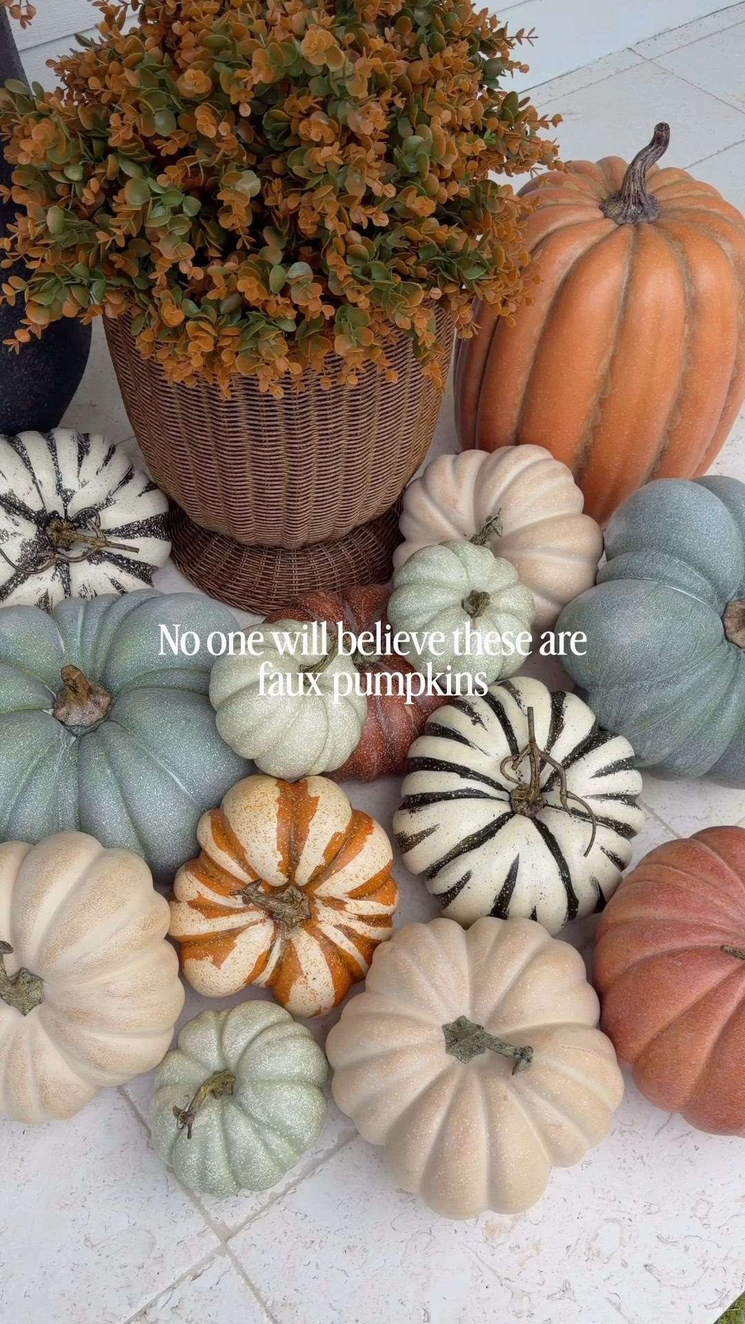 Can you believe these pumpkins are faux? They are all so beautiful and I fear they have returned me into a faux pumpkin girly 🎃 

#Pumpkins #FauxPumpkins #DecorativePumpkin #AshlandPumpkin #Michael’s #Michael’sFallDecor @Michaels #FallDecor #HalloweenDecor #FallPorch #FallFrontPorch #HalloweenFrontPorch #Planters #Pumpkin

#LTKSeasonal #LTKHome #LTKxWalmart
