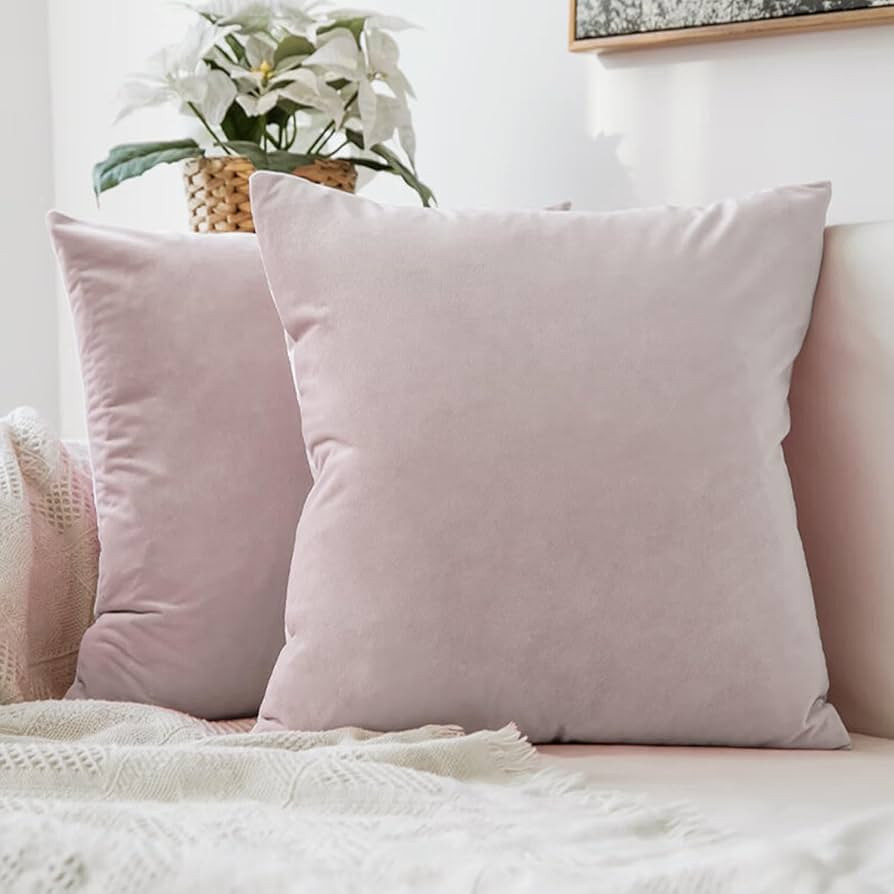 Cyuripu Pack of 2 Velvet Light Pink Throw Pillow Covers 18 x 18 Inch Soft Solid Decorative Square... | Amazon (US)
