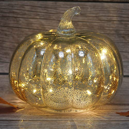 Fall Decor-Fall Decorations for Home Mercury Glass Pumpkin Light with Timer,Battery Operated Led Pumpkin Light,Ideal for Halloween Decoration, Thanksgiving Rustic Decor, Xmas Décor (Silver2) | Amazon (US)