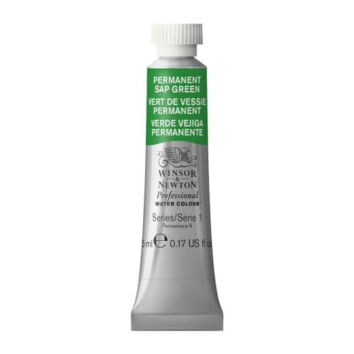 Winsor & Newton Professional Watercolor, 5ml (0.17-oz) Tube, Permanent Sap Green | Amazon (US)