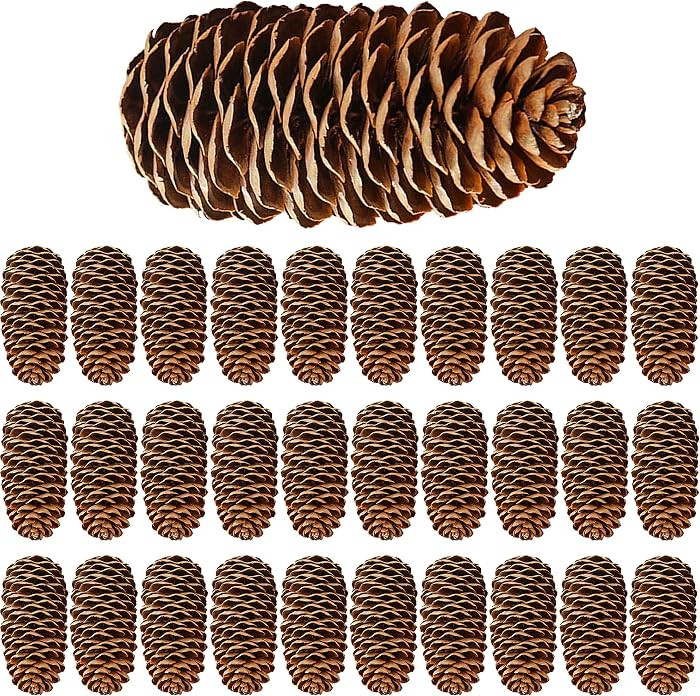 30 Pieces Large Christmas Snow Pine Cones Natural Pine Cones Natural Pinecones for Christmas Part... | Amazon (US)