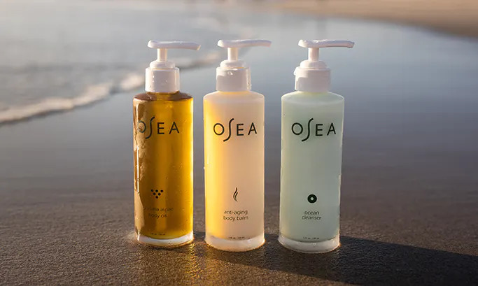 Anti-Aging Sea Serum | OSEA Malibu