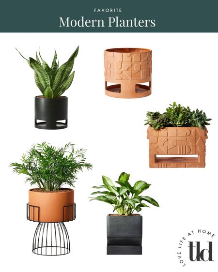 Our favorite modern planters from Hilton Carter! The terra cotta and black are dreamy, modern, and natural. Great for indoor houseplants and outdoor patios!

#LTKhome