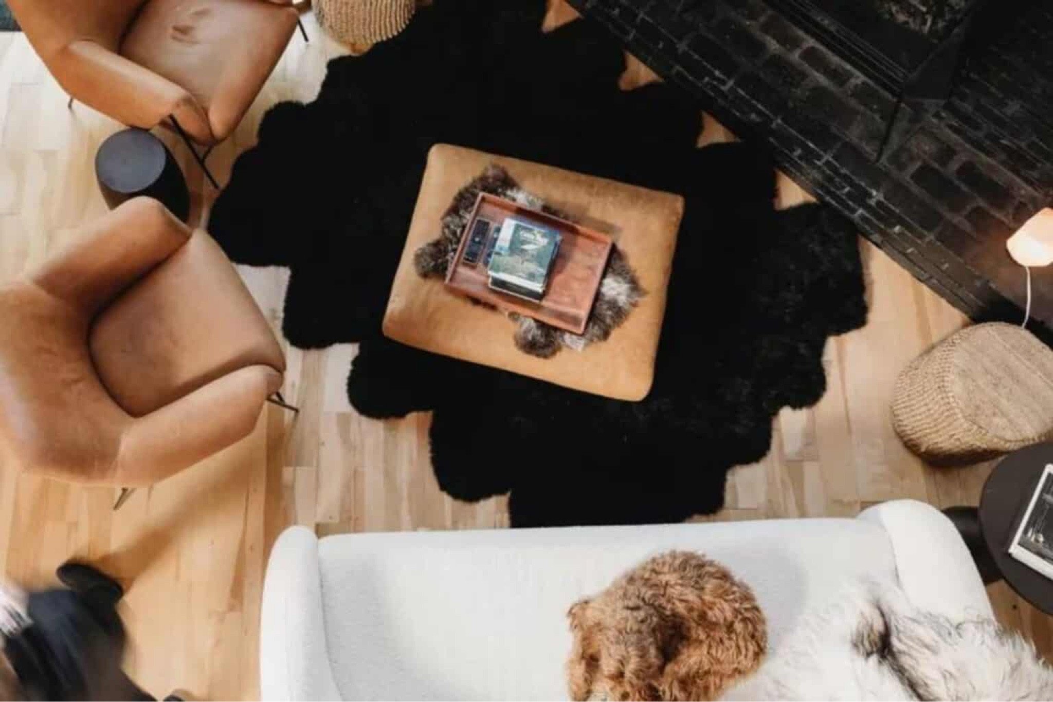 Blondie’s cabin: home decor inspiration from Arhaus! 

#LTKHome #LTKFamily #LTKSeasonal