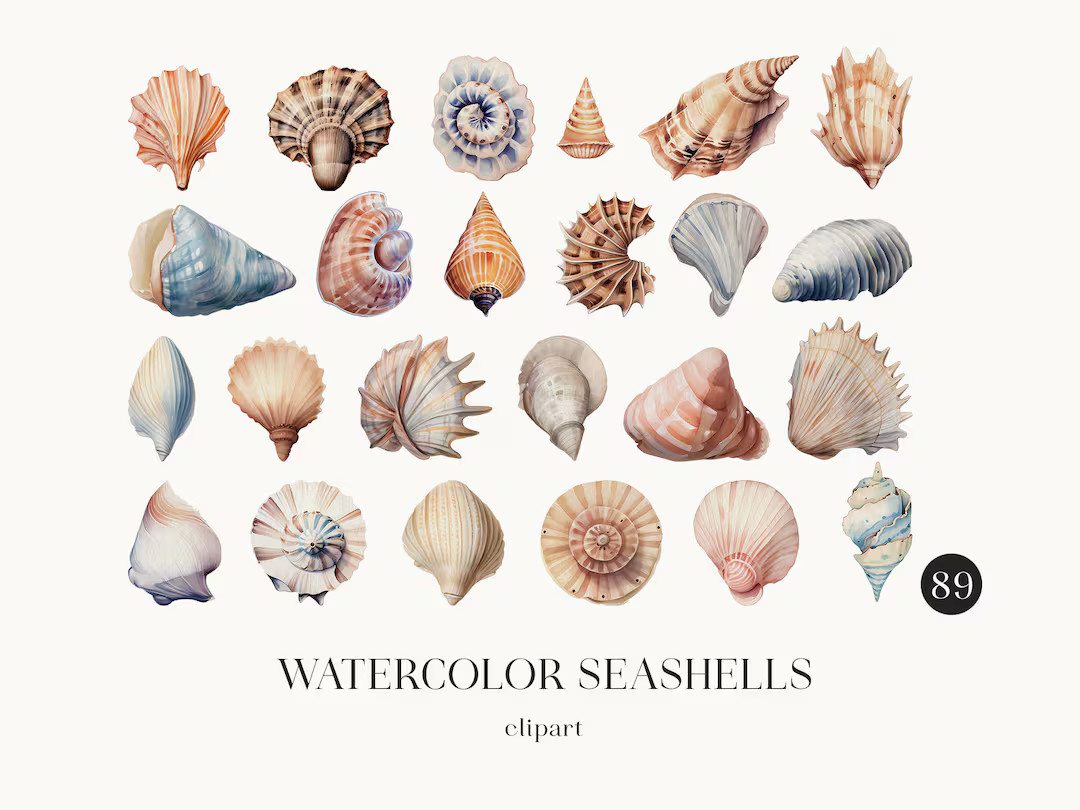 Watercolor Seashells Clipart Bundle, PNG Watercolor Vintage Graphics for Instant Download. Commer... | Etsy (US)