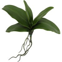 Ga Usa-Pack Of 2 Real Touch Live-Like Quality Artificial Phalaenopsis Orchid Foliage Leaf Tabletop O | Etsy (US)