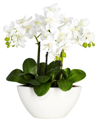 Phalaenopsis Silk Flower Arrangement | Ashley Homestore