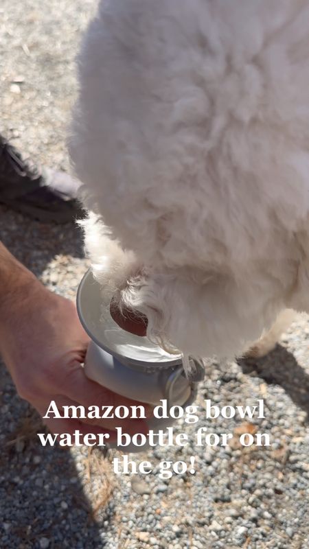 Amazon pets dog bowl water bottle perfect for the car, hiking and adventures 🐶

#LTKsalealert #LTKVideo #LTKfamily