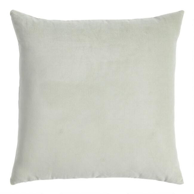 Velvet Throw Pillow | World Market