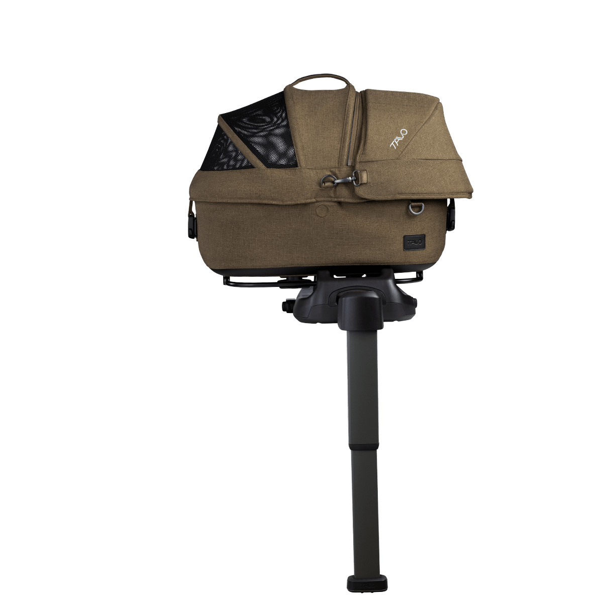 Maeve™ | Tavo Pets