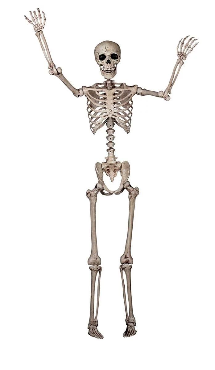 Skeleton Poseable Halloween Decoration - Walmart.com | Walmart (US)