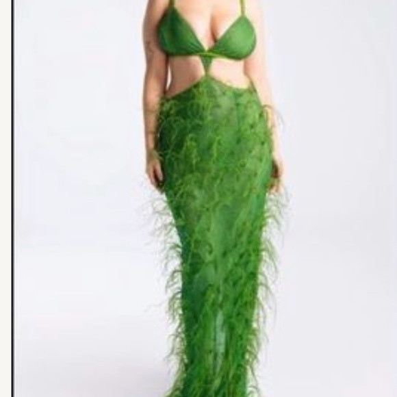 Hanifa ostrich dress | Poshmark