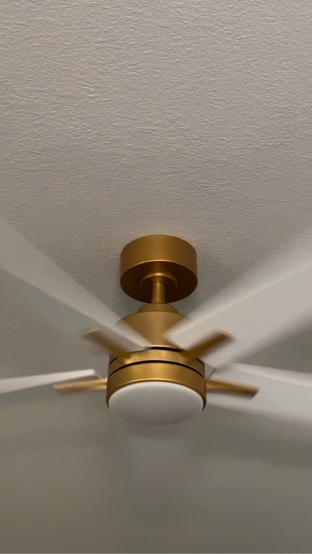I've added a modern touch to my home with these sleek gold and white ceiling fans. Perfect for any room, they blend style with functionality. SO affordable too — high-end designer look for a fraction of the price  Check them out for your space! 

#LTKSaleAlert #LTKSeasonal #LTKHome