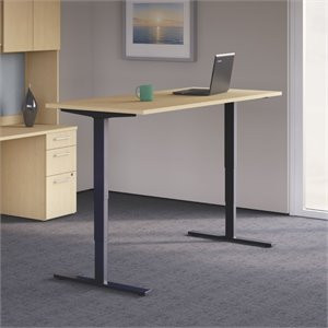 Scranton & Co 48W x 30D Height Adjustable Standing Desk in Maple | Cymax