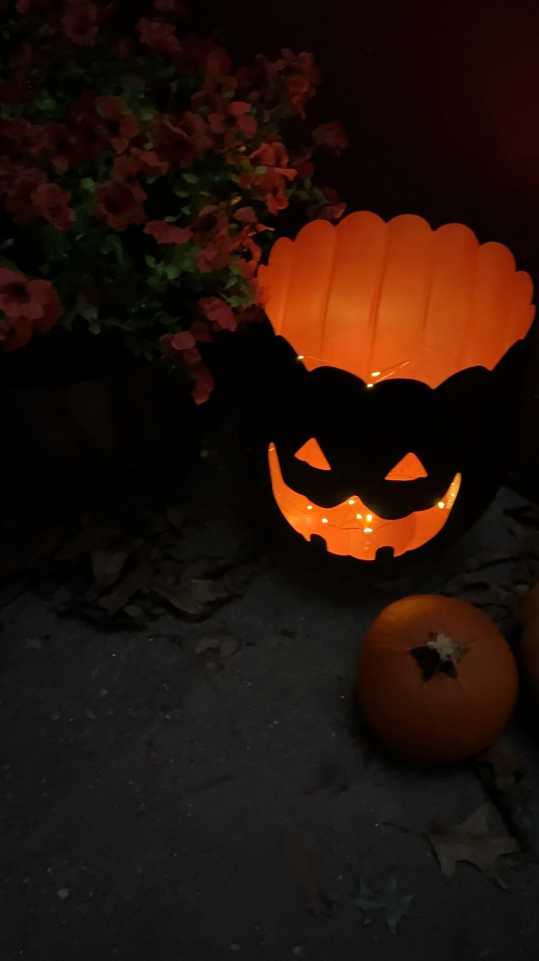 Halloween outdoor decor, solar lanterns from Amazon 

#LTKHome #LTKHalloween #LTKSeasonal