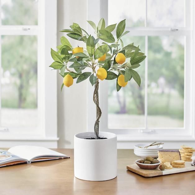 Potted Tabletop Lemon Tree | Grandin Road | Grandin Road