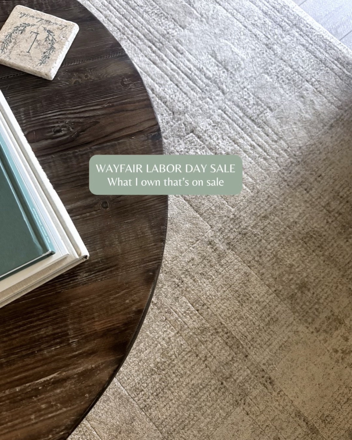 Wayfair Labor Day Sale finds I actually own 🤎

I went through the sale and checked the pieces I already have in my home — because a sale is a lot more helpful when someone can tell you what they actually use and love.

My green sofa + living room rug, bedroom lamps + bench, playroom rug, and gym rug are all included in the sale right now.

These are pieces I’ve lived with, styled, and would buy again.

#WayfairLaborDaySale #WayfairFinds #HomeDecorFinds

#LTKHome #LTKSaleAlert