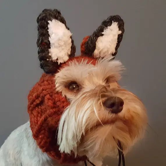 Fox Dog Snood, Greyhound Cowl, Gift for Dog, Large Dog Costume, Fox Ears, Big Dog, Pitbull, Greyhoun | Etsy (CAD)
