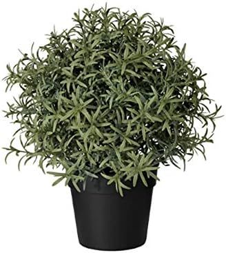 Ikea Artificial Potted Plant Rosemary 9.5" | Amazon (US)