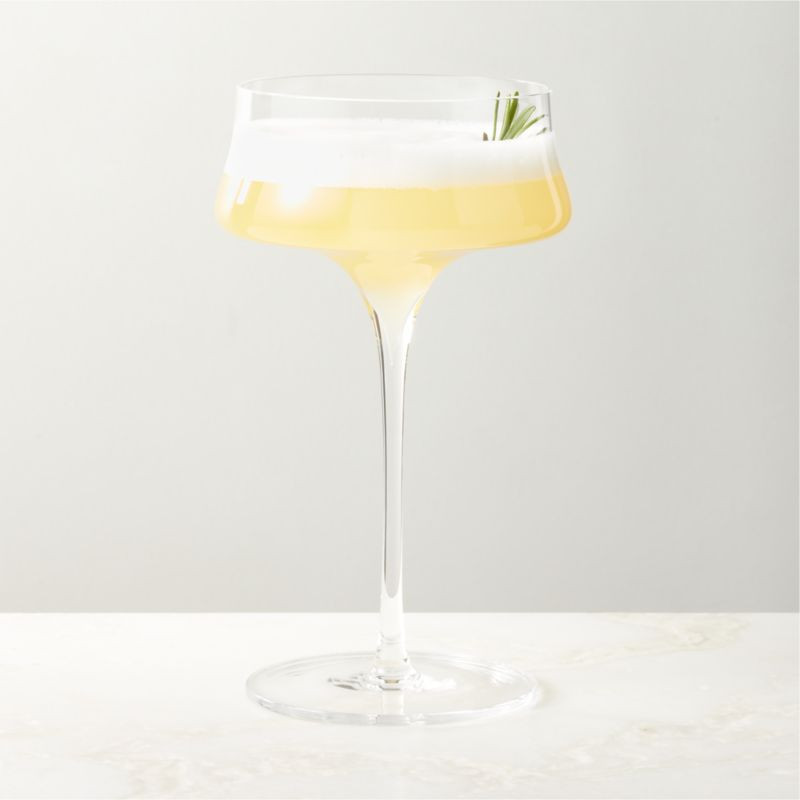 Estera Clear Coupe Glass | CB2 | CB2