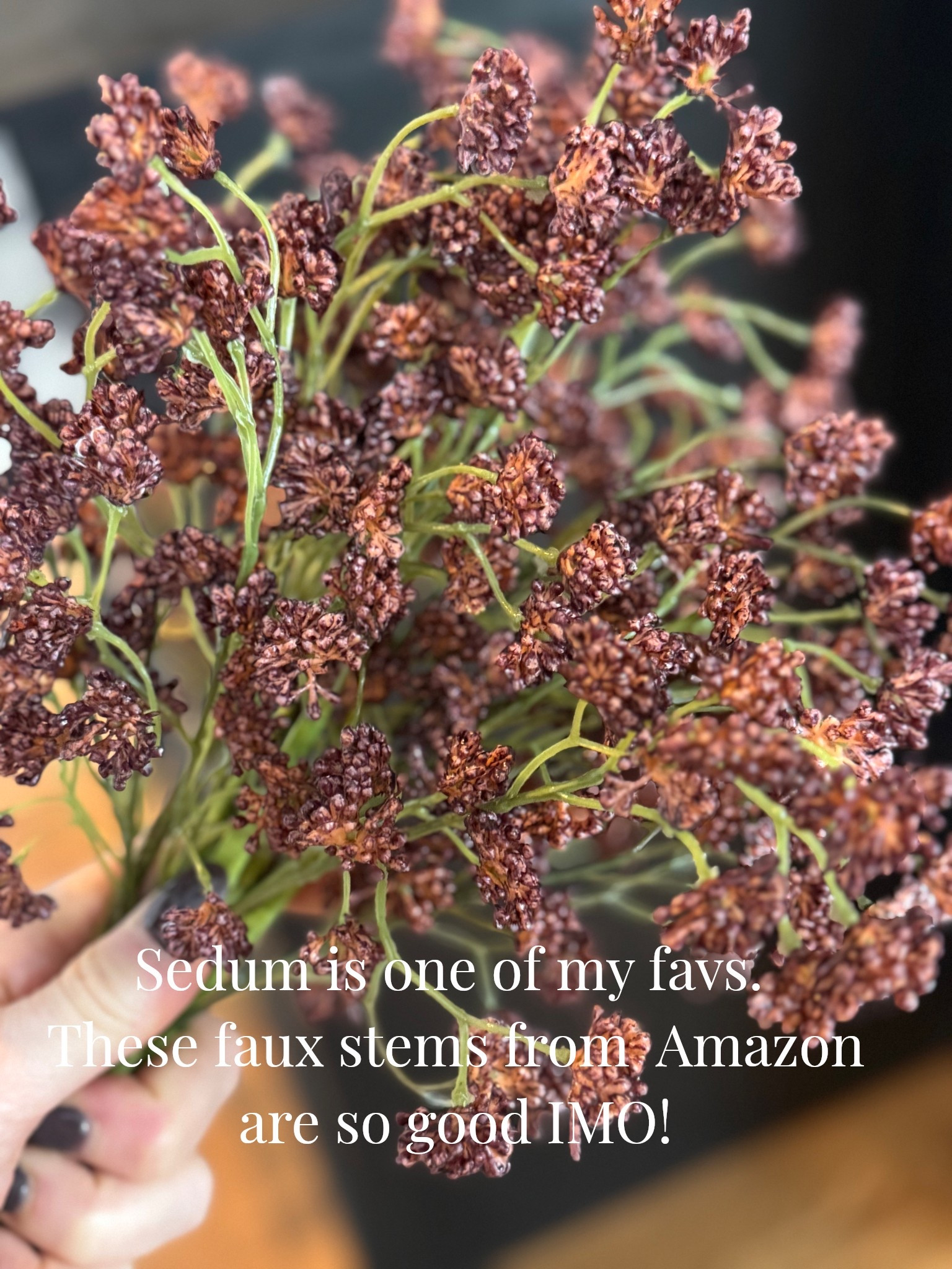 Theses sedum stems are so good! Sedum is one of my favs. It’s hard to find good stems. This Amazon option checks all
The boxes! 

#LTKHome #LTKFindsUnder50 #LTKSeasonal