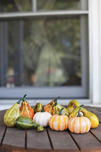 One Holiday Way Artificial Gourds and Pumpkins Assorted Halloween Fall Tabletop Decoration, 12 Piece | Amazon (US)