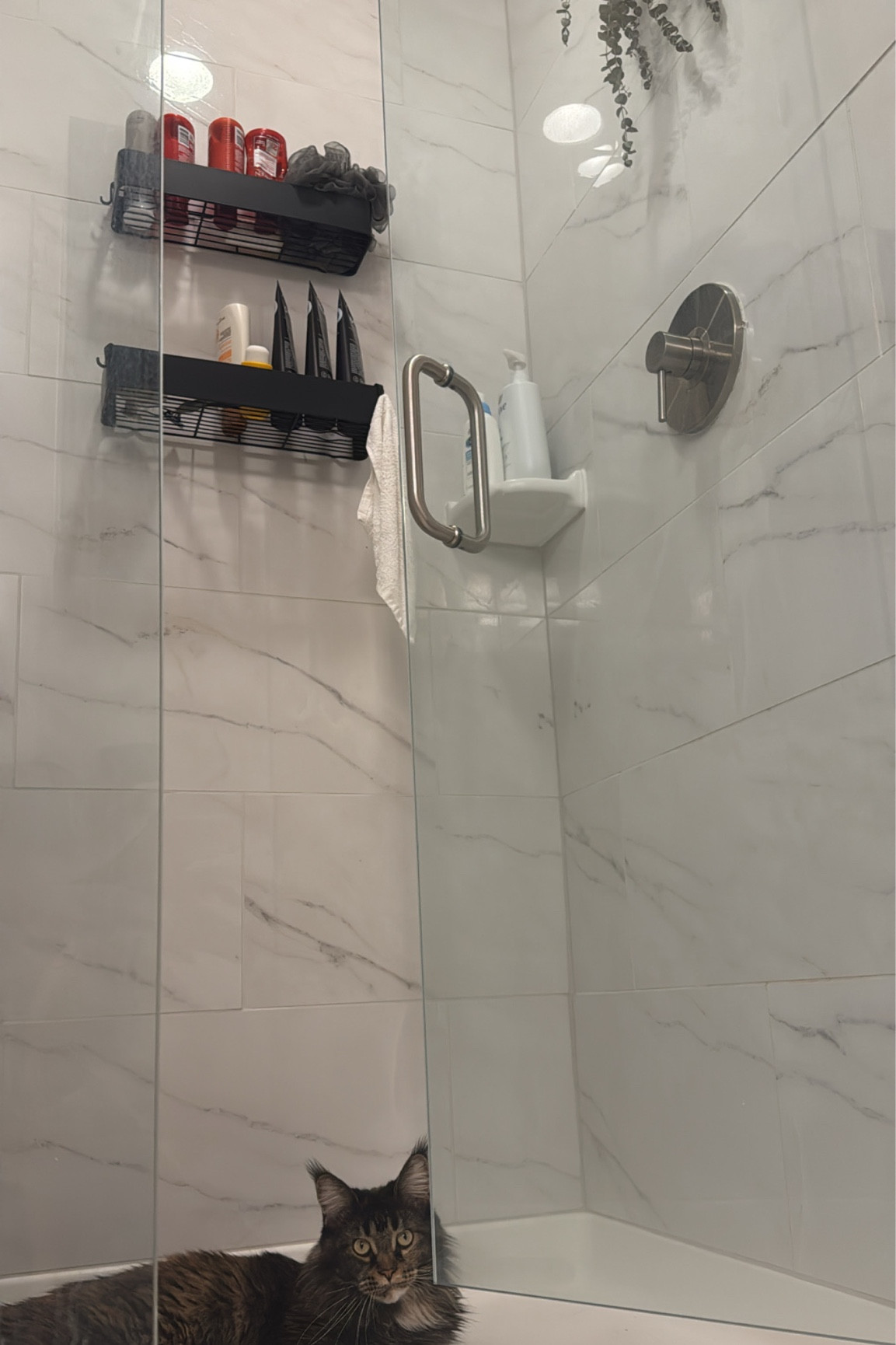 Not the best photo of these shower shelves but they’re so cute and work so well! Everyone asks me for the link! Classy & aesthetic 🖤 

#LTKsalealert #LTKfamily #LTKhome