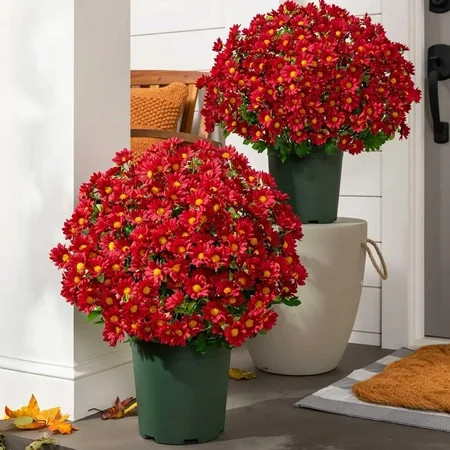Funsdecor Mums, Artificial Sunset Mums, Artificial Outdoor Sunset Mums Flowers - UV Resistant, Waterproof, Windproof, Fake Fall Flower Daisy With Eucalyptus, Look Real, Full, Vibrant (5 Bundle Gold) | Walmart (US)