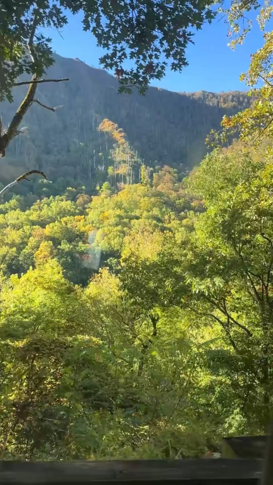 🤍🤍

#LTKmomlife #LTKTravel #LTKdayinmylife