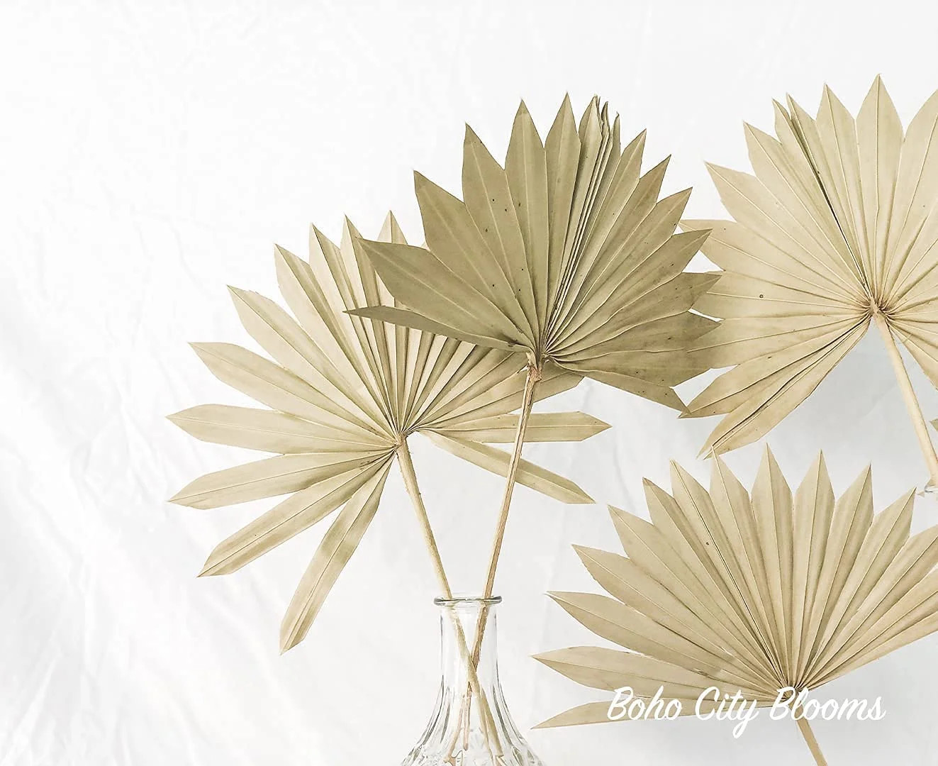 Boho City Blooms Dried Palm Leaves | 3pcs Premium Natural Dried Palm Fans | Boho Decor | Neutral ... | Walmart (US)