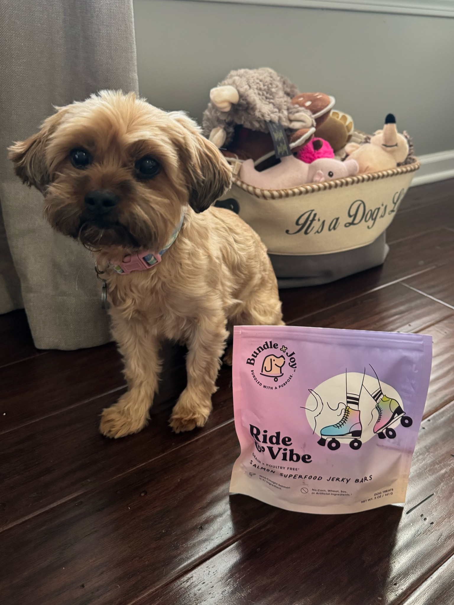 We love treating our fur babies to their favorite treats!
This is one of Millie's favorite chew bars! 

#LTKSaleAlert #LTKHome #LTKFindsUnder50