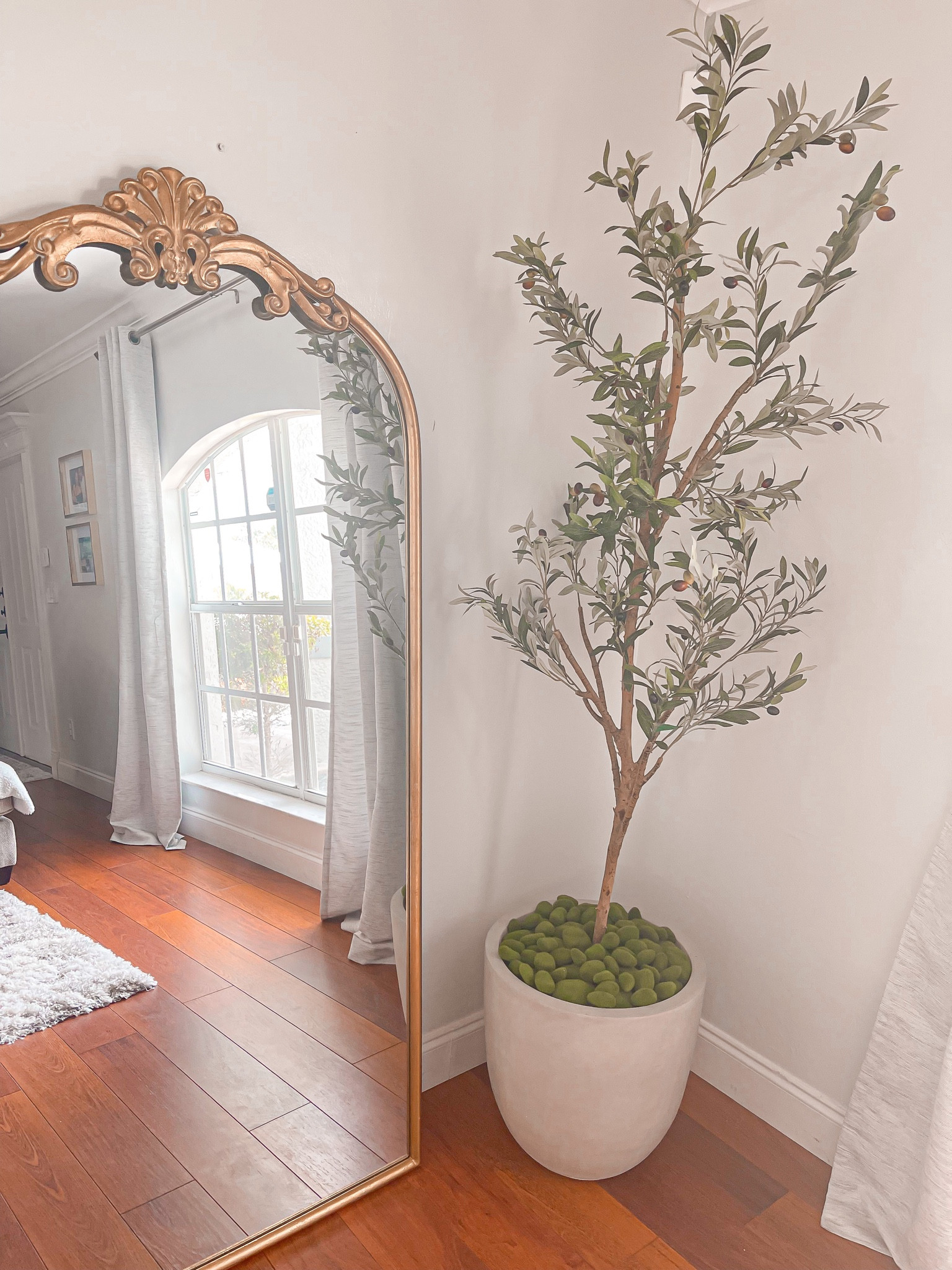 DIY Olive tree in cement pot from @amazon 

#LTKFind #LTKhome #LTKunder100