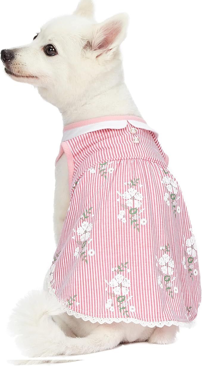 Blueberry Pet Wonderland Floral Sleeveless Dog Dress in Pink Stripe with Peter Pan Collar, Back L... | Amazon (US)
