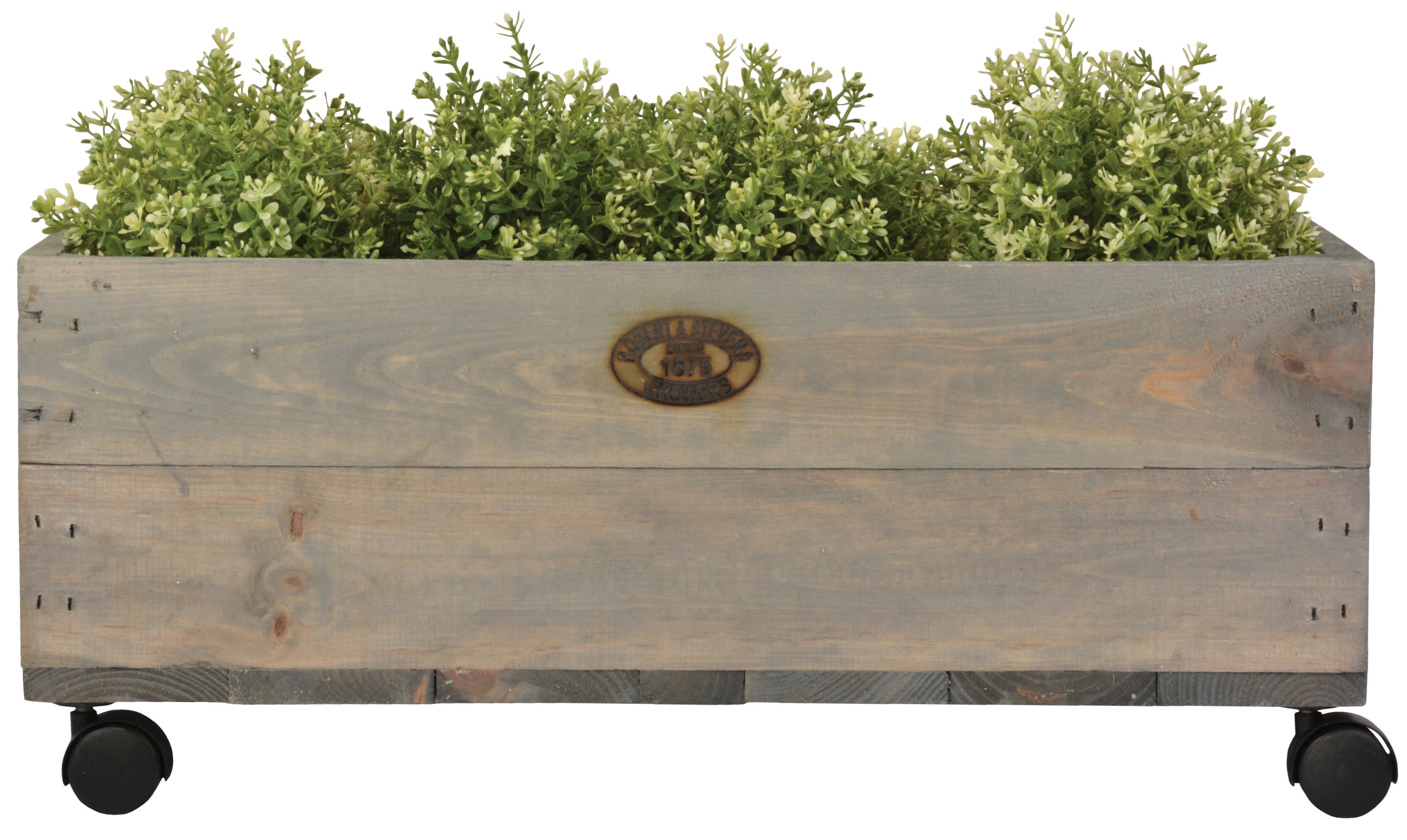 Esscherts Garden Wooden Planter Box | Wayfair UK