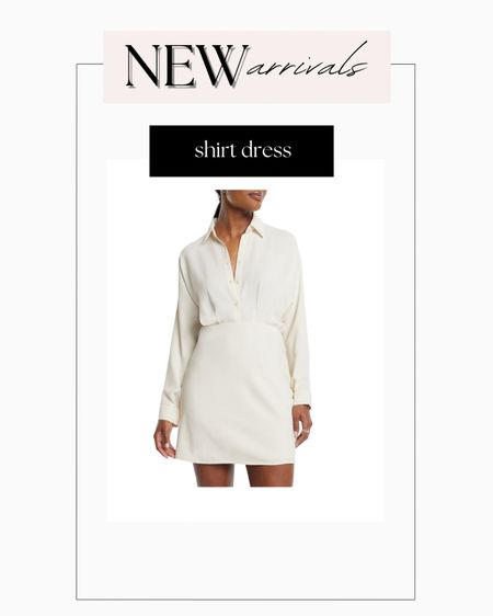 Mini shirt dress, comes in a few other colors!