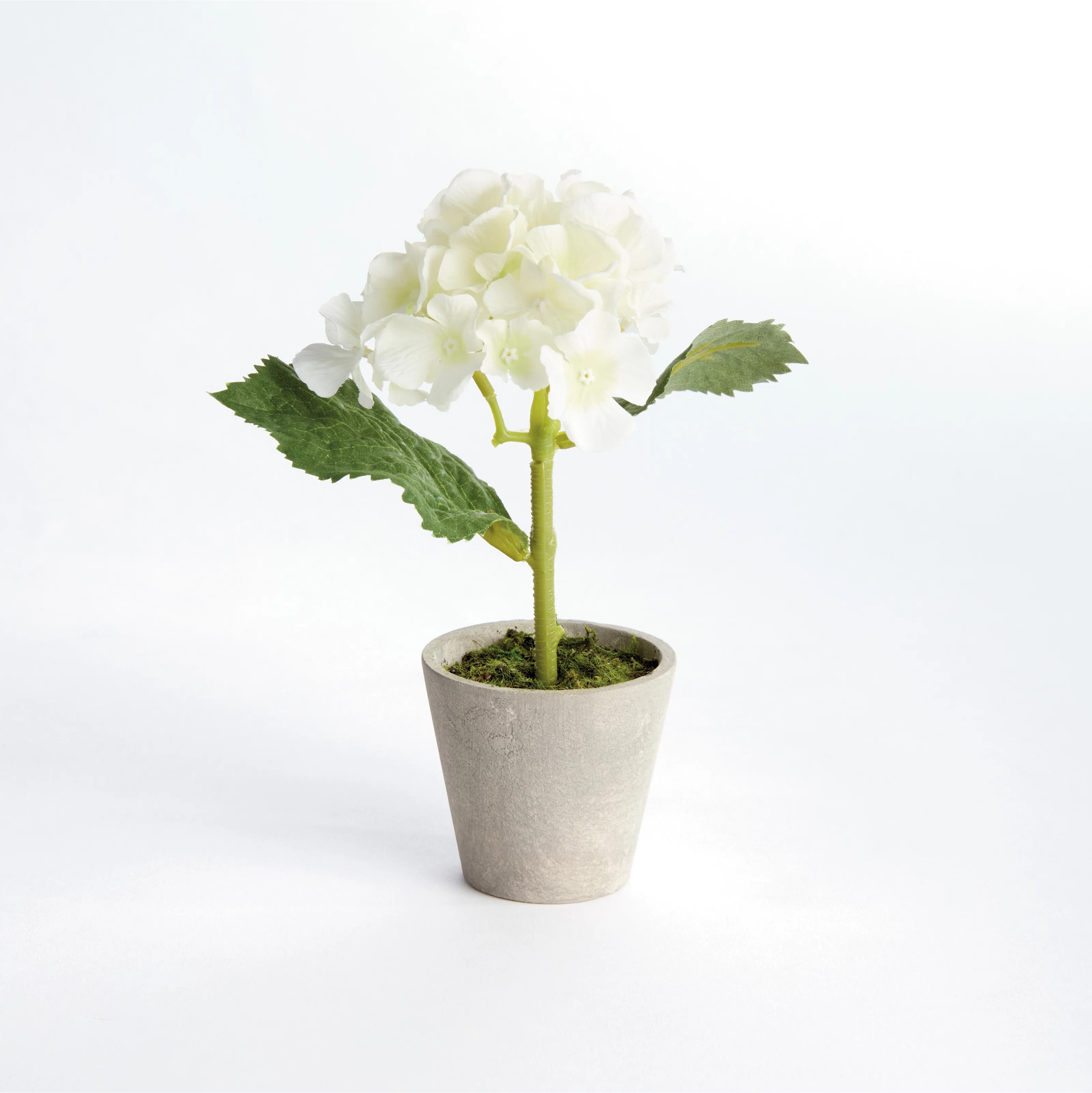 MINI HYDRANGEA POTTED 8", SET OF 4 (Set of 4) | Wayfair North America