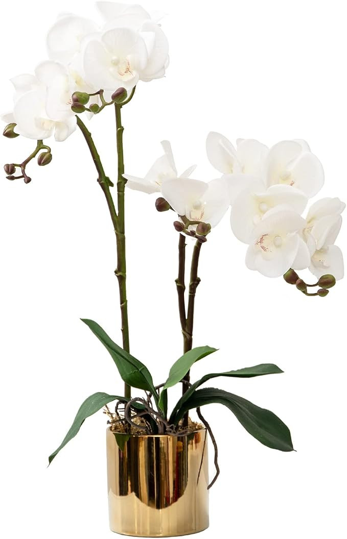 CXGS Artificial Orchid Flower Plant Real Touch Faux Orchids in Ceramic Vase White 19.7'' Fake Pha... | Amazon (US)