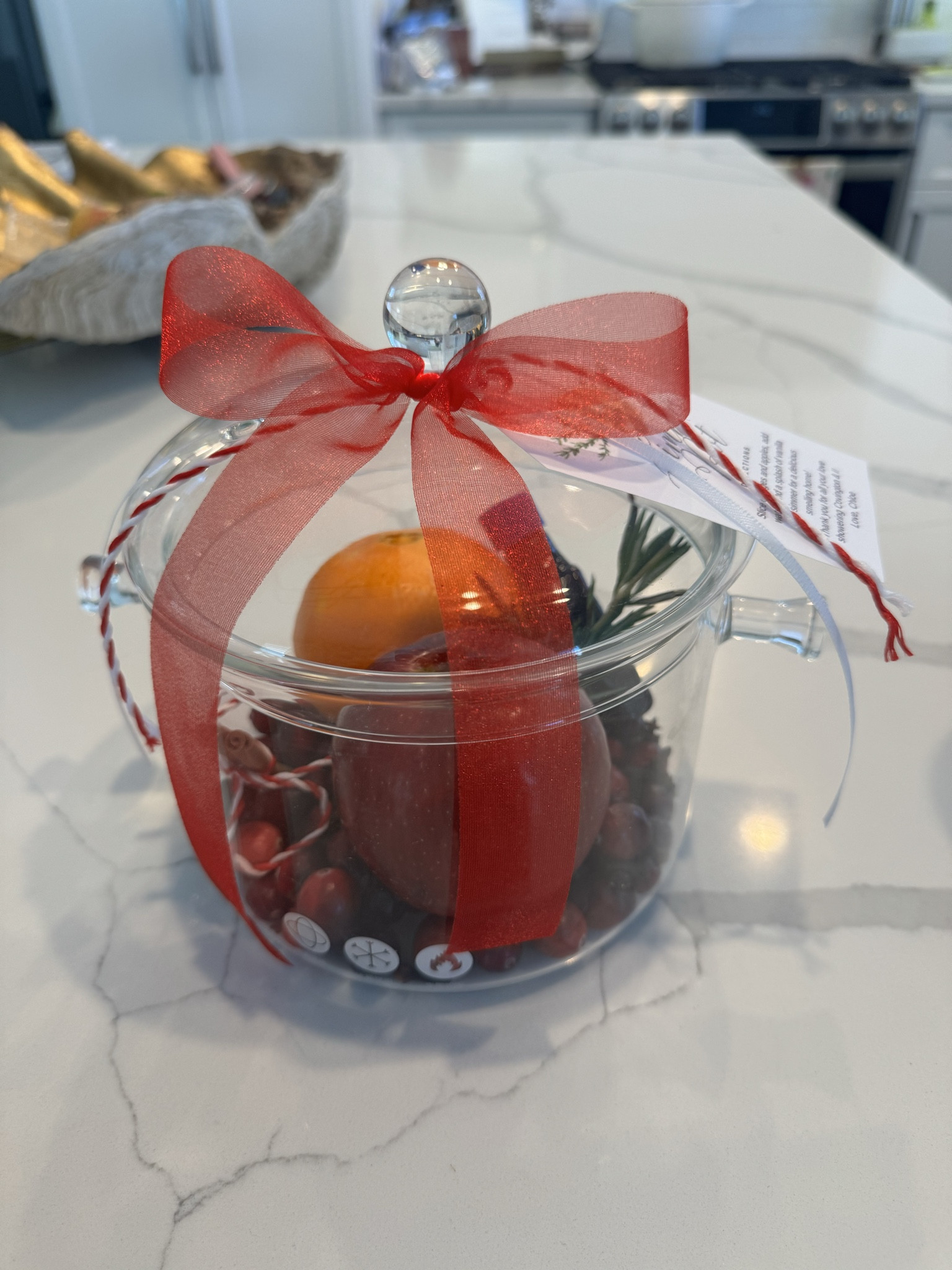The best host gift! Purchase a simmer pot, fill with an orange, apple, rosemary, cinnamon stick, cranberries, vanilla, and cloves & add a little instructions or thank you tag to the pot🤍

#LTKSeasonal #LTKHoliday #LTKGiftGuide