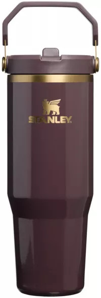 Stanley 30 oz. IceFlow 2.0 Flip Straw Tumbler - Fall Refresh, Bedrock Gloss | DICK'S Sporting Goods