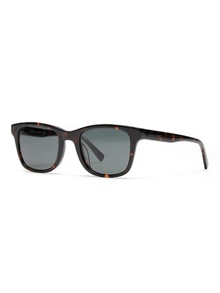 Lloyd Sunglasses | Banana Republic (US)