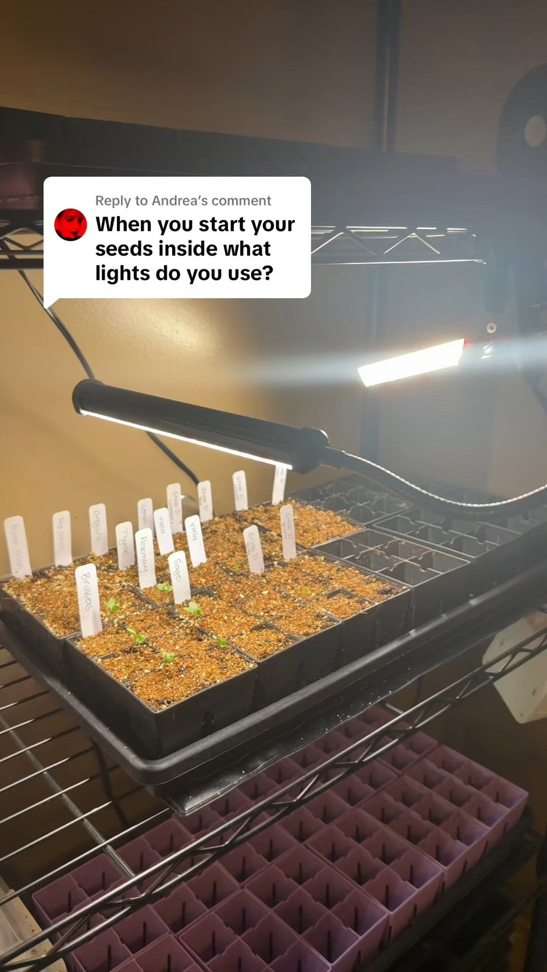 Grow lights I’ve used for the last few years  