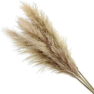 ROOMSOAR Dried Pampas Grass Decor Tall Fluffy 48" Natural Beige Large Feather Decor for Vase Boho... | Amazon (US)