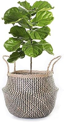 BeeGreeny Large Seagrass Belly Basket | Black Zig-Zag Foldable Storage Basket with Handles for La... | Amazon (US)