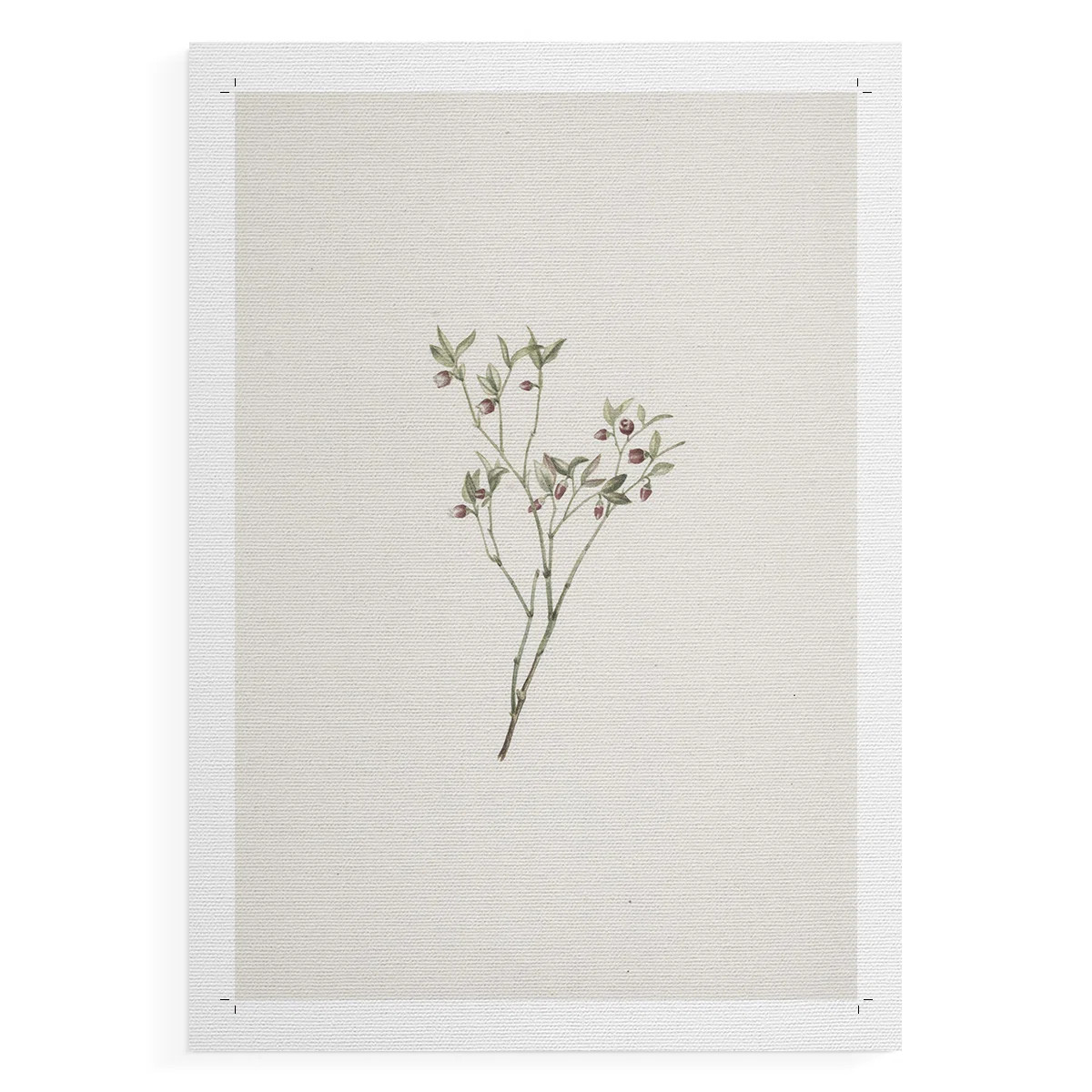 Vintage Floral Print CLXXXII -Canvas Print Only - NOT FRAMED | Wayfair North America