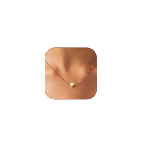 HERIER Gold Necklace for Women Gold Heart Necklace 14K Gold Plated Tiny Cute Heart Necklaces Simple Box Chain Heart Pendant Necklaces for Women Trendy Jewelry | Amazon (US)