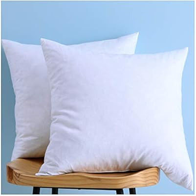Amazon.com: Set of 2, Cotton Fabric Pillow Inserts, Down and Feather Throw Pillow Insert, 24X24 I... | Amazon (US)