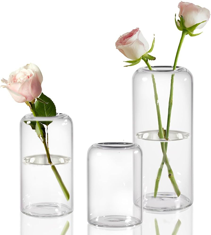 ZENS Glass Bud Vases Set of 3, Clear Hand Blown Small Vase for Flowers, Modern Cylinder Glass Vas... | Amazon (US)