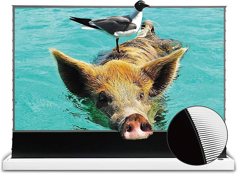VIVID STORM SINCE 2004-Projection Screen S PRO 100 inch Motor Rollable Laser TV Tensioned Floor S... | Amazon (US)