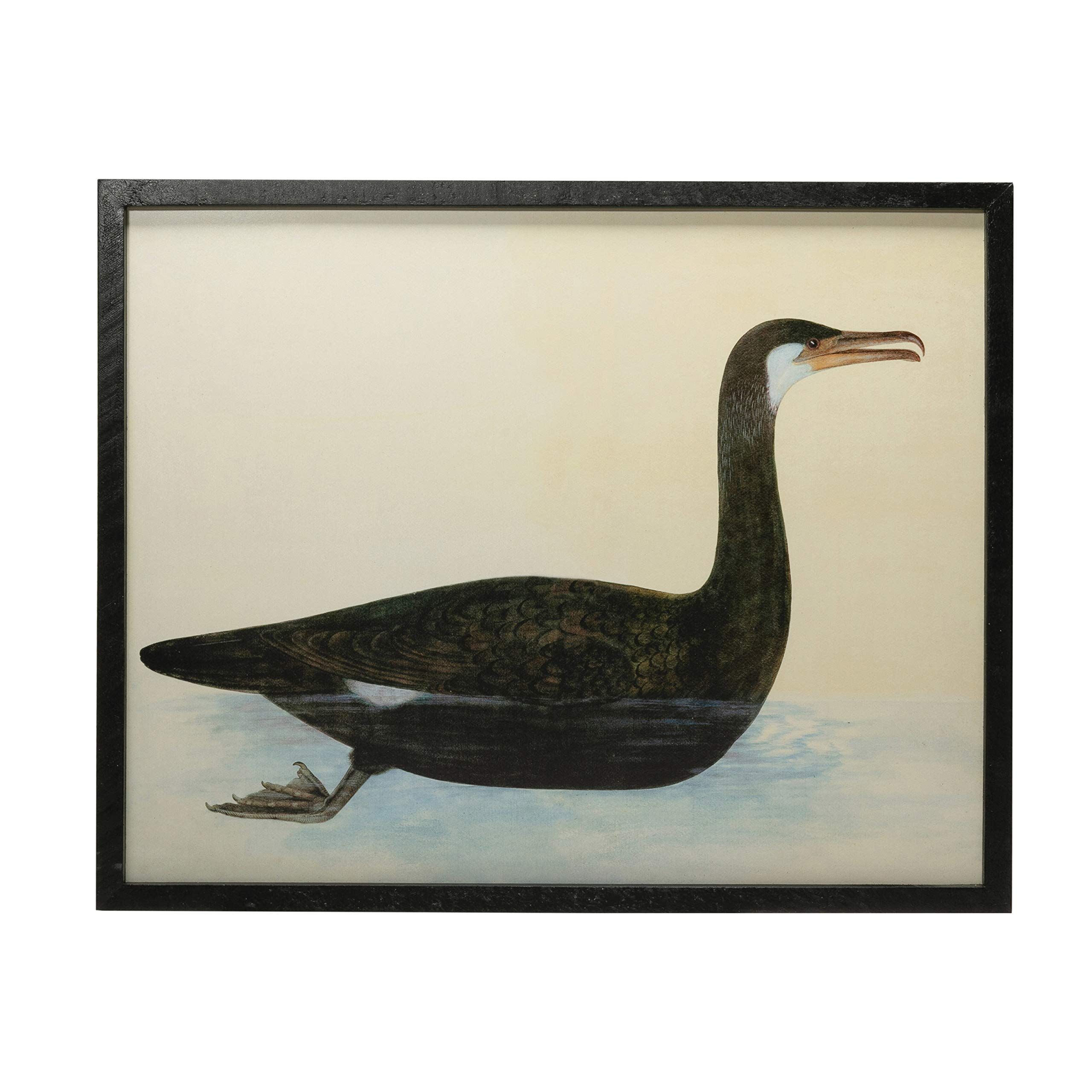 Creative Co-Op Wood & MDF Framed Vintage Reproduction Bird Image, Black Wall Décor | Amazon (US)